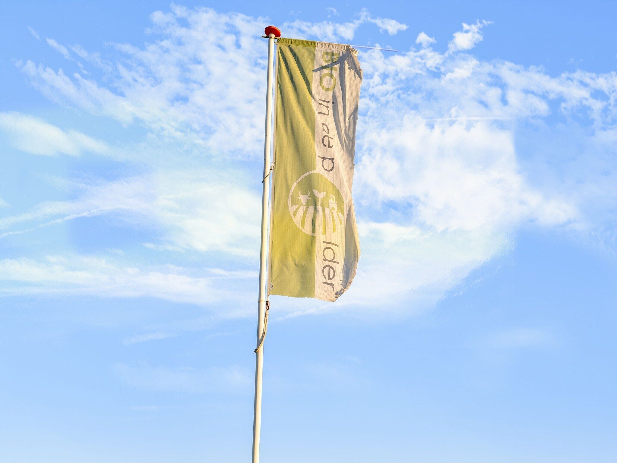 A flagpole with a flag featuring a bull and a tree, set against a clear blue sky.