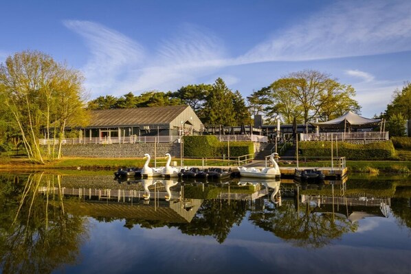 A lakeside building with a dock, swans, and a covered area.