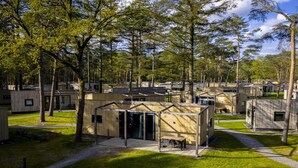 Un terrain de camping doté de plusieurs chalets de type caravane, de sentiers aménagés et entouré d’arbres.