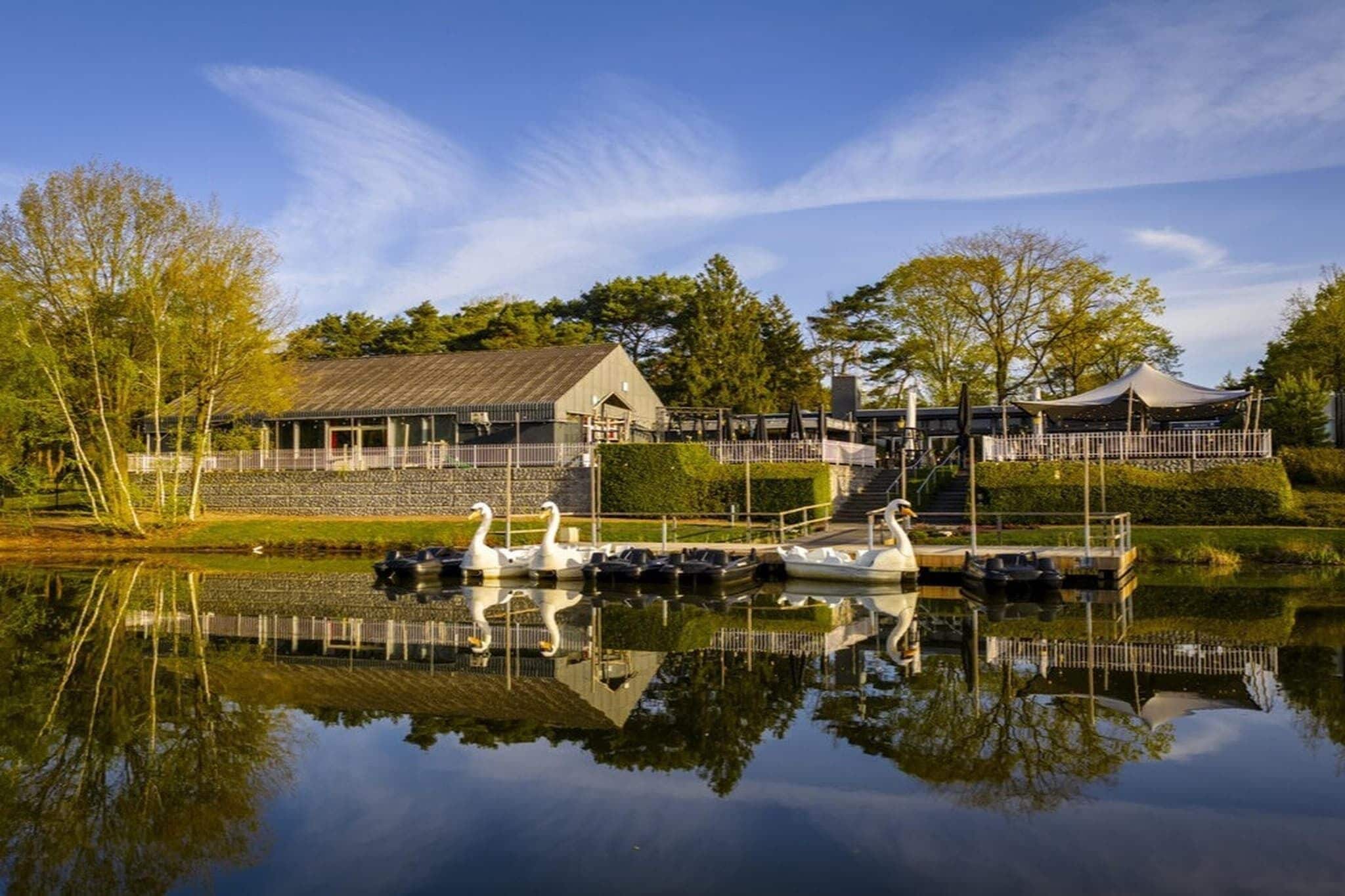 A lakeside building with a dock, swans, and a covered area.