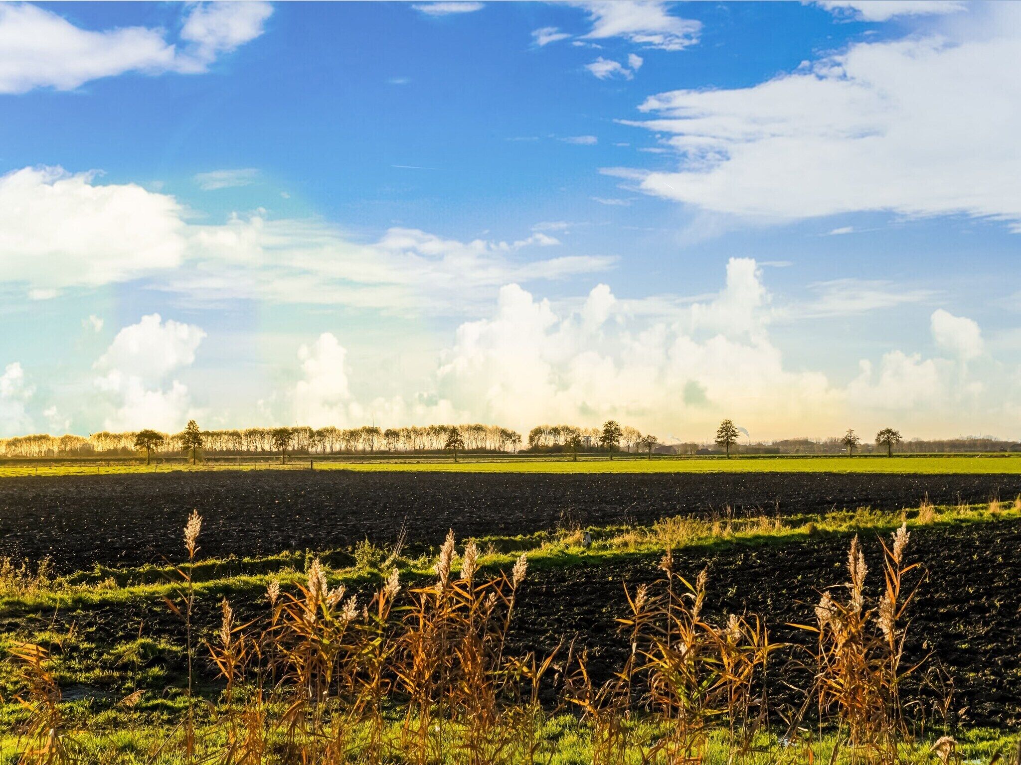 Een landelijk landschap met velden, bomen en een heldere lucht.