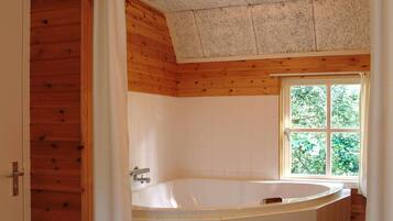 Ducha y bañera de hidromasaje