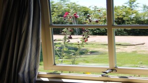 A window with a view of a garden and trees outside. - Cozy vacation home with terrace (Lage Zwaluwe)