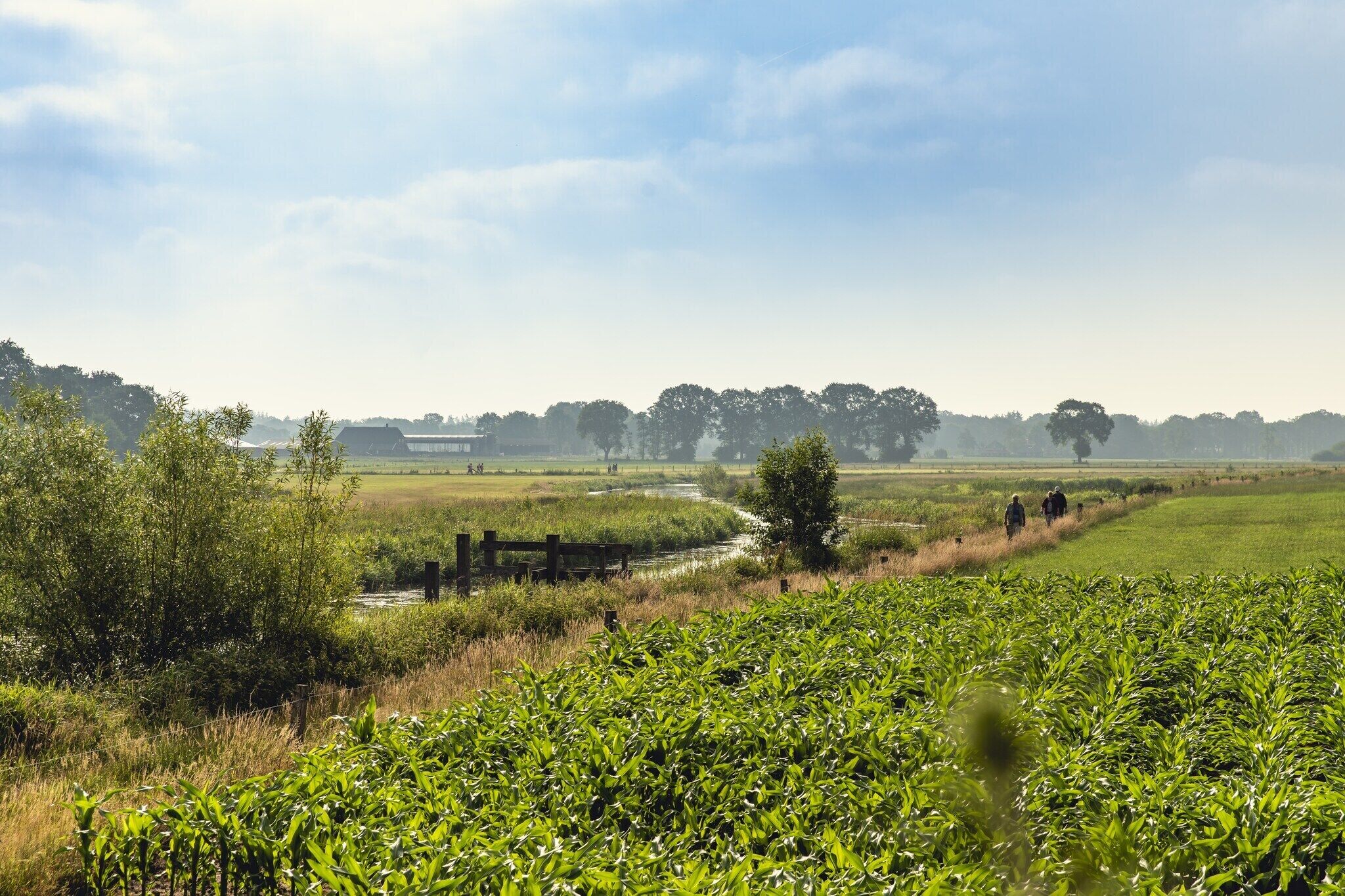 Un paysage rural avec des champs, un petit ruisseau et une clôture en bois.