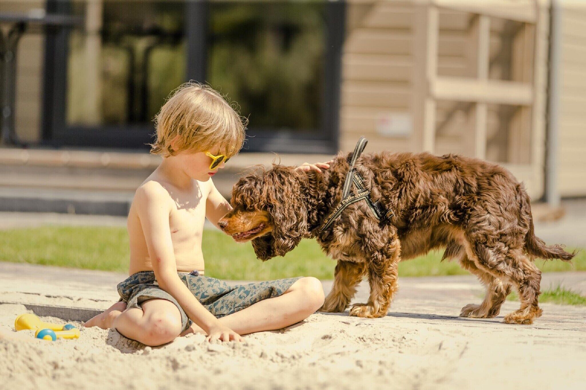 Ein Kind sitzt im Sand neben einem Hund.