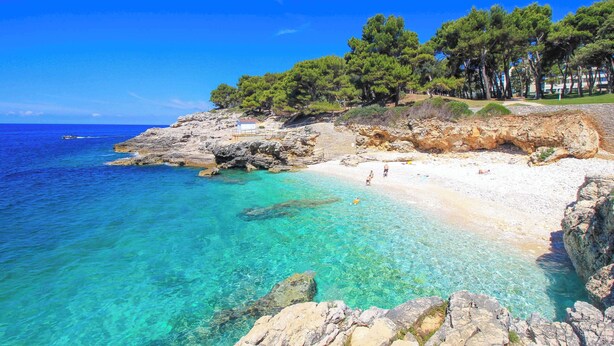A coastal beach with clear turquoise waters, rocky shoreline, and pine trees. - Apartment Zora - 
Charming 2-bedroom apartment with AC, WiFi in amazing Pula (Pula)