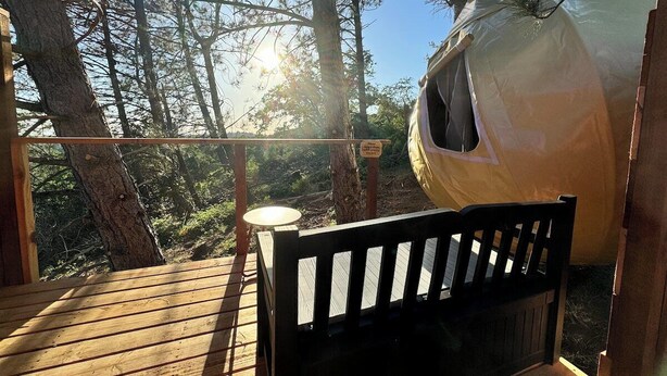 Una terraza de madera con un banco y una estructura de carpa cubierta.