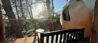 Sky Pod#3/Tree Tent #3