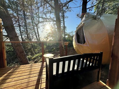 Sky Pod#3/Tree Tent #3