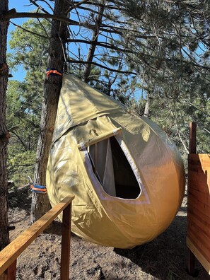 Property grounds - Sky Pod#3/Tree Tent #3 (Dunlap)