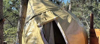 Sky Pod#3/Tree Tent #3