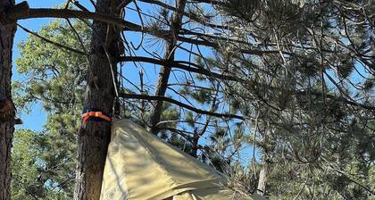 Sky Pod#3/Tree Tent #3