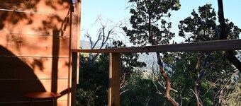 Sky Pod #2/Tree Tent 2