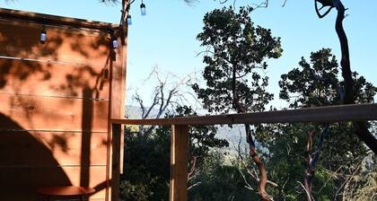 Sky Pod #2/Tree Tent 2