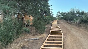 A wooden ramp leading up a dirt path surrounded by vegetation. - Sky Pod #2/Tree Tent 2 (Dunlap)