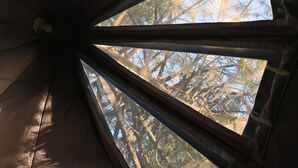 A room with a slanted ceiling and multiple windows allowing natural light to enter. - Sky Pod #2/Tree Tent 2 (Dunlap)