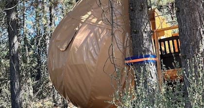 Sky Pod/Tree Tent#1