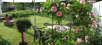 apartment Haus Renate Palatinate Forest