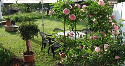 appartement Haus Renate ForĂȘt du Palatinat