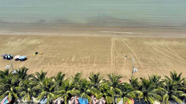 Una playa con vista despejada al océano, palmeras y sombrillas.