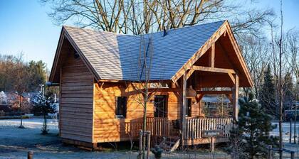 Beautiful lodge with spa in holiday park