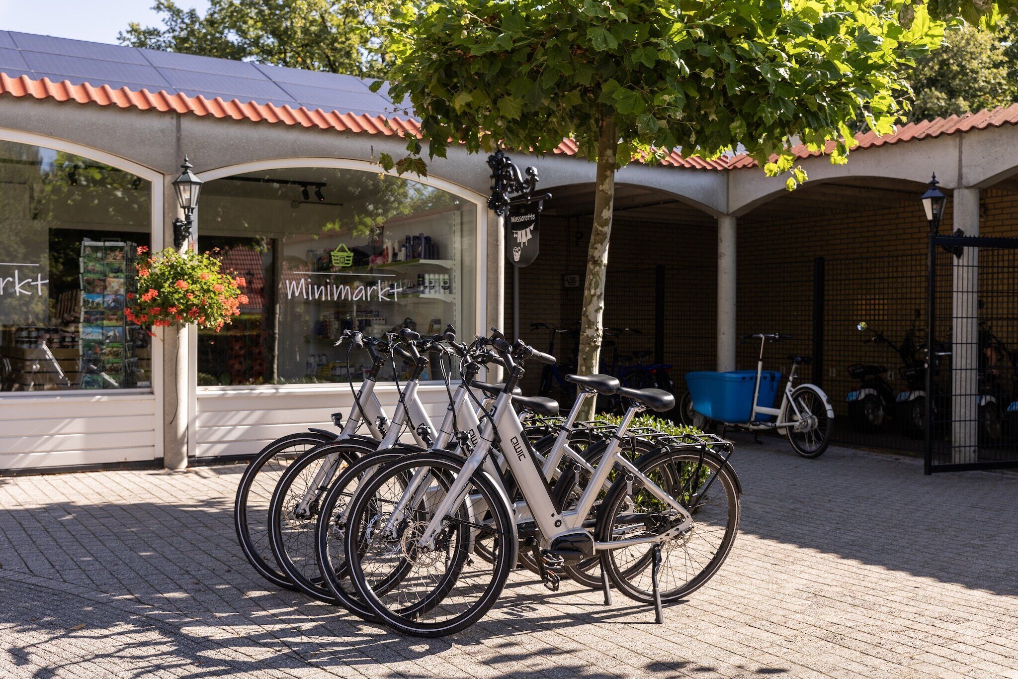 Àrea exterior de l'allotjament