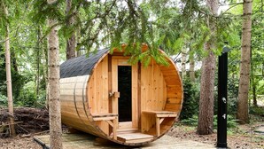 Een houten blokhut met een deur en twee bankjes buiten, omringd door bomen.