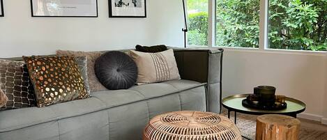 Smart TV y chimenea