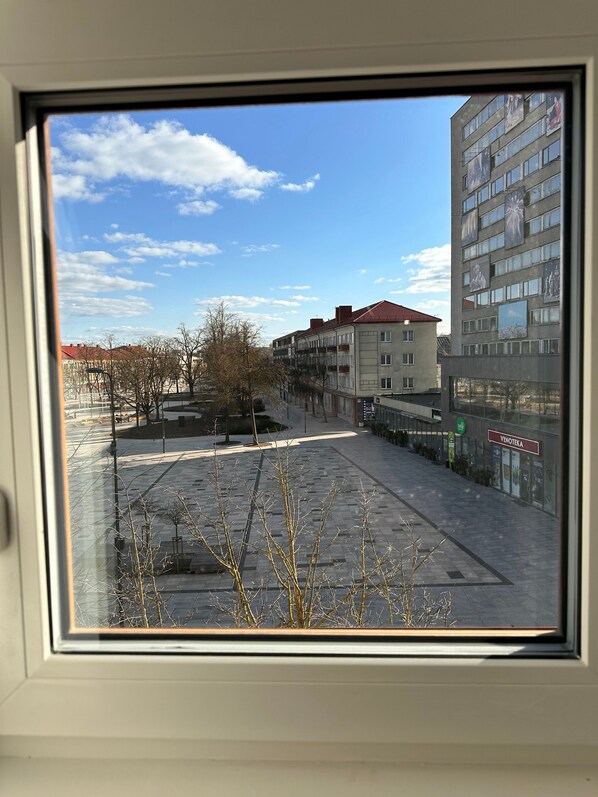 A view through a window of a building with a tiled plaza, leafless trees, and a clear sky. - Rosako Namas Apartamentai (Panevezys)