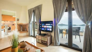 Flat-screen TV