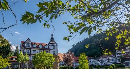 Apartment 'Nr 2, 30qm' with Private Terrace, Shared Garden and Wi-Fi