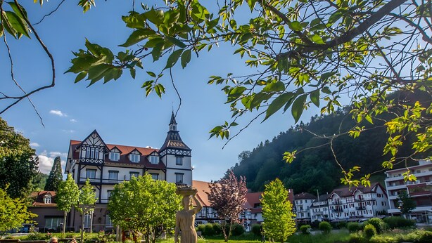 A historic building with a tower, surrounded by lush greenery and a pathway. - Apartment 'Nr 2, 30qm' with Private Terrace, Shared Garden and Wi-Fi (Bad Herrenalb)