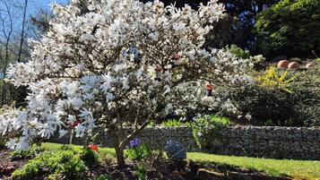 Ein Garten mit einem markanten, weiß blühenden Baum, einer Steinmauer und verschiedenen anderen Pflanzen.