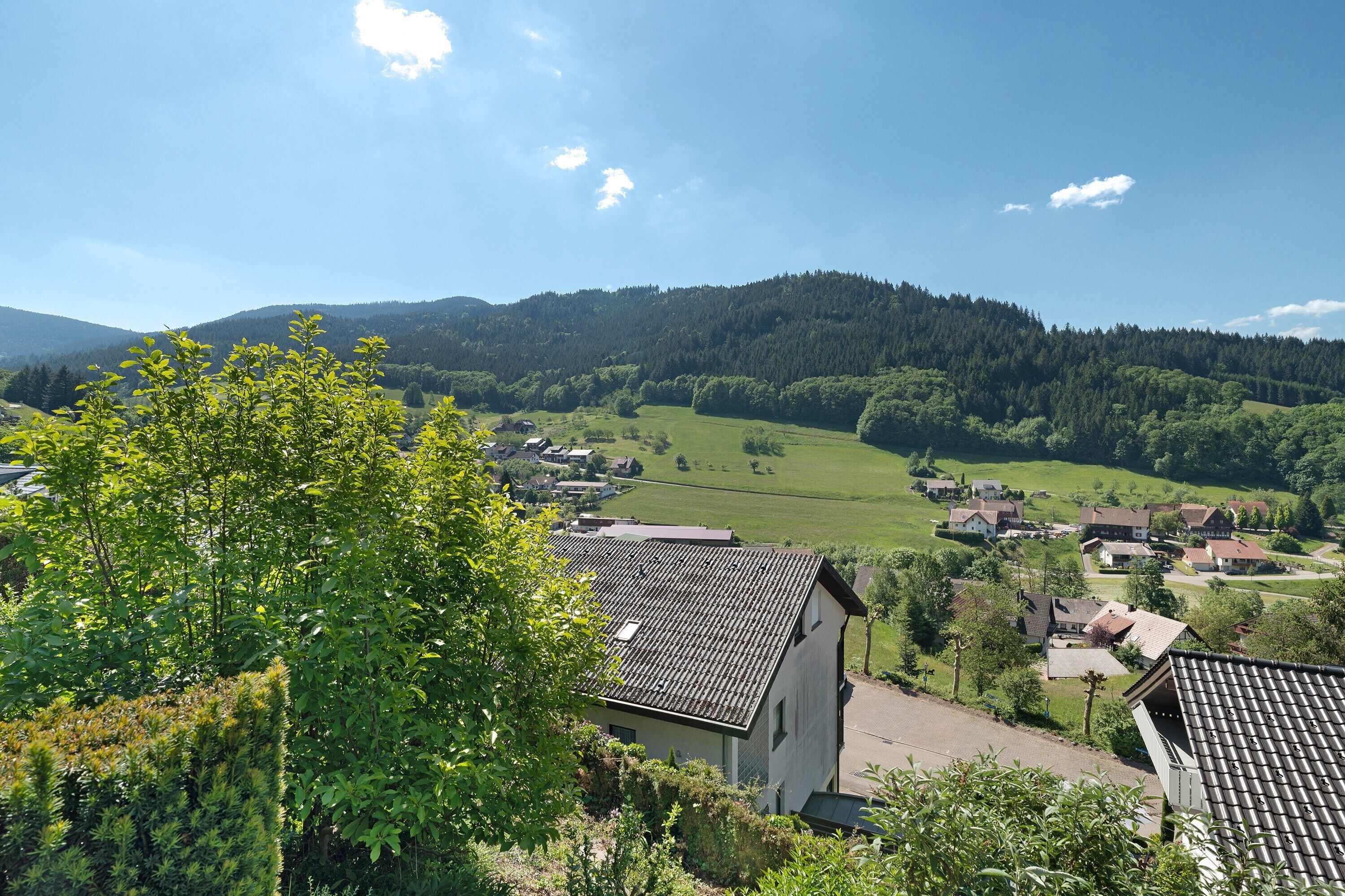 A rural village with houses, a church, and a hill in the background.