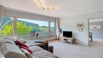 Fernseher, Kamin, DVD-Player