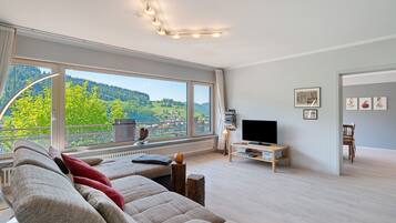 Una televisión, una chimenea, un reproductor de DVD