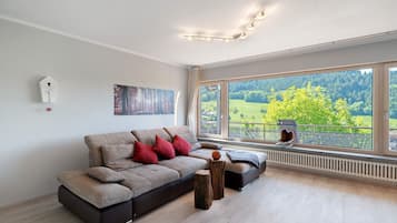 Tv, pejs, dvd-afspiller