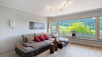 Fernseher, Kamin, DVD-Player