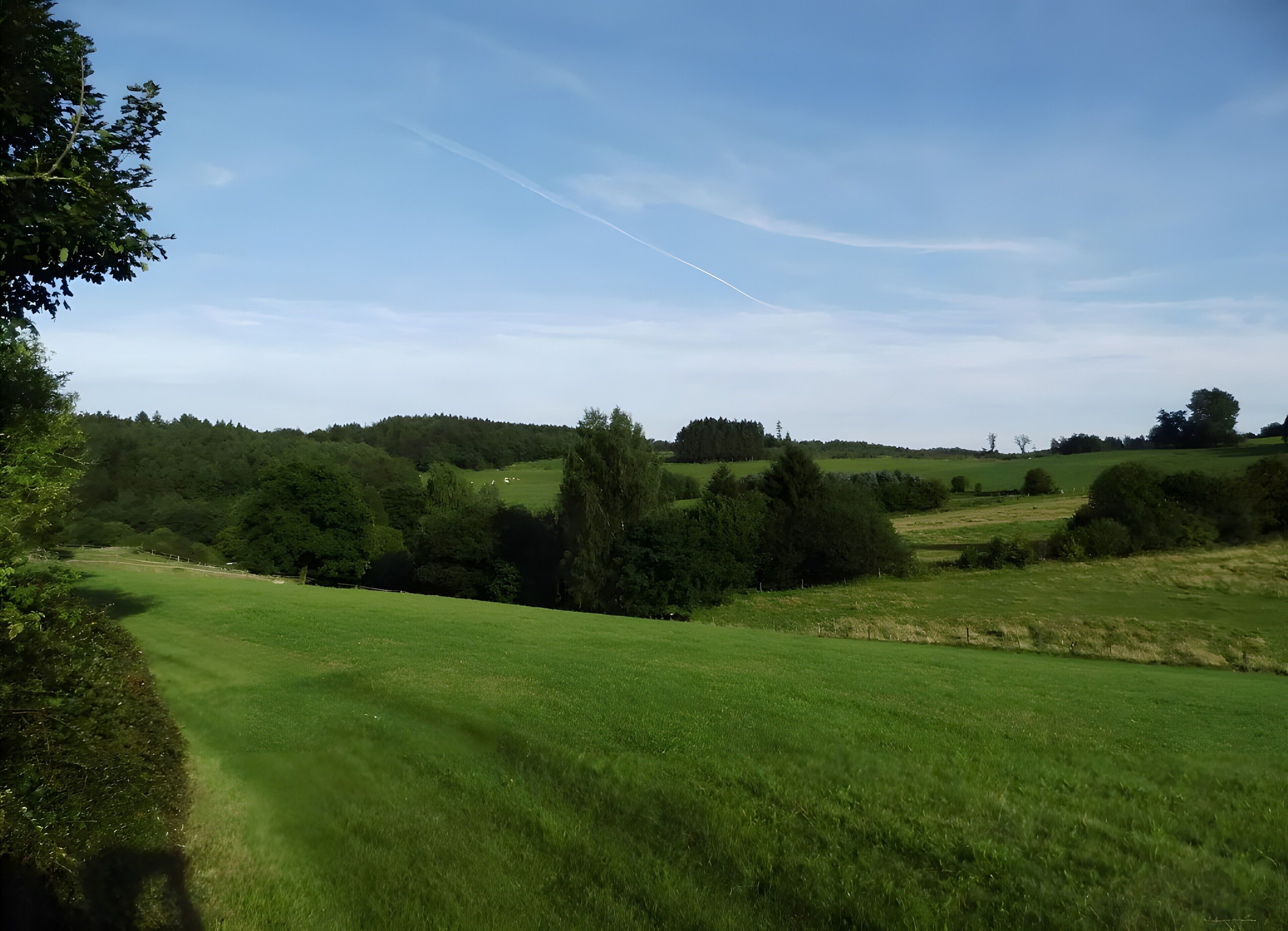 A grassy field with trees and a clear sky.