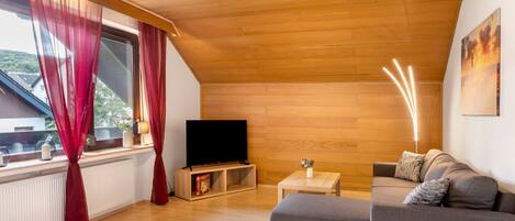 Fernseher