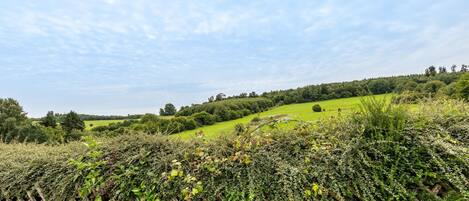A rural landscape with a wooden fence, rolling green hills, and a clear sky.
