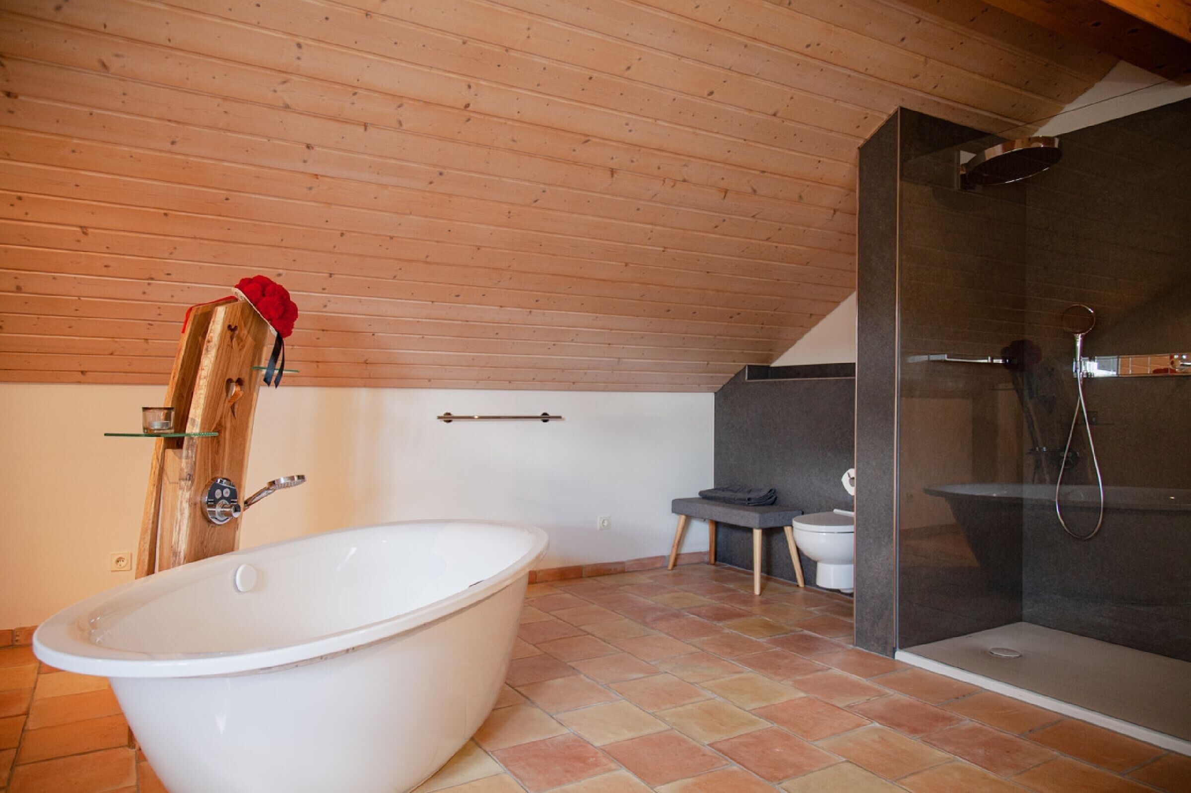 Dusche, Haartrockner, Handtücher