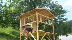 Una estructura de madera con una escalera, una persona escalando y un entorno natural al aire libre.