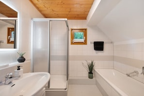 Shower, hair dryer, towels