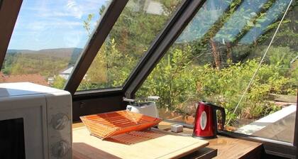 Eremitage-Dahn Komfortable Ferienresidenz