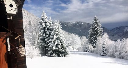 The Karl Anton Hütte