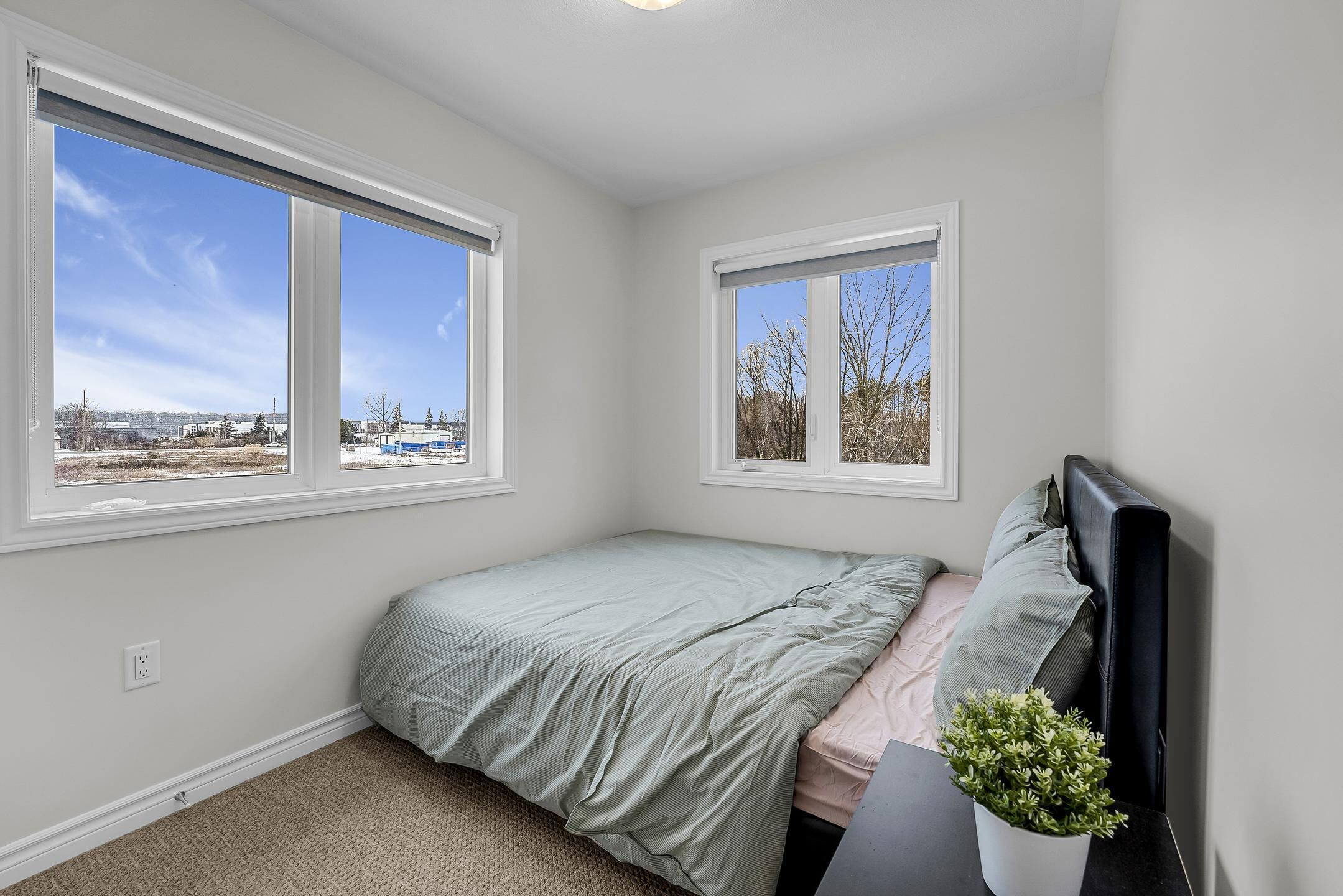 A bedroom with a single bed, two windows, and a potted plant.