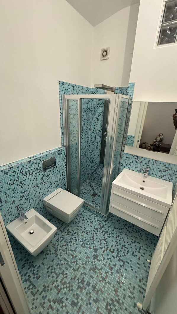 Shower, hair dryer, bidet, towels