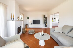 TV connectée, cheminée, lecteur de DVD