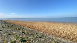 A coastal view with a stone wall and tall grass. - Nice home in Westerland (Westerland)